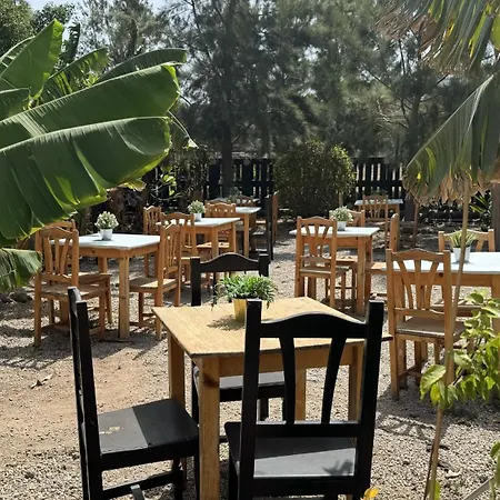 Privado Serendipia Natural Club Exclusive * Buzanada