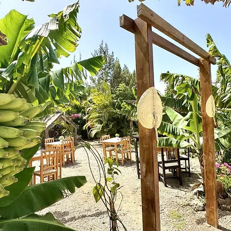 Privado Serendipia Natural Club Exclusive Сasa de vacaciones Buzanada