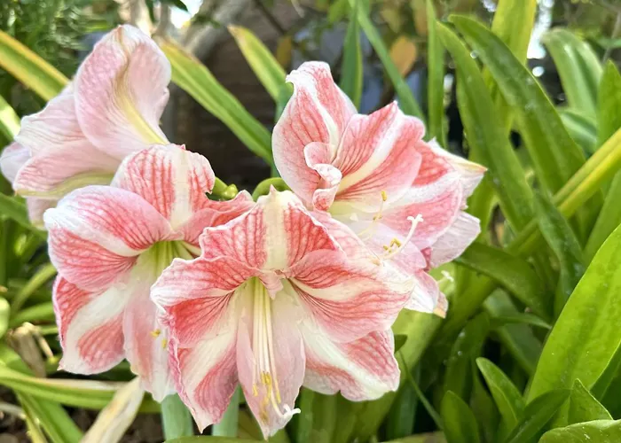 Privado Serendipia Natural Club Exclusive By Deihu Experiences Сasa de vacaciones *